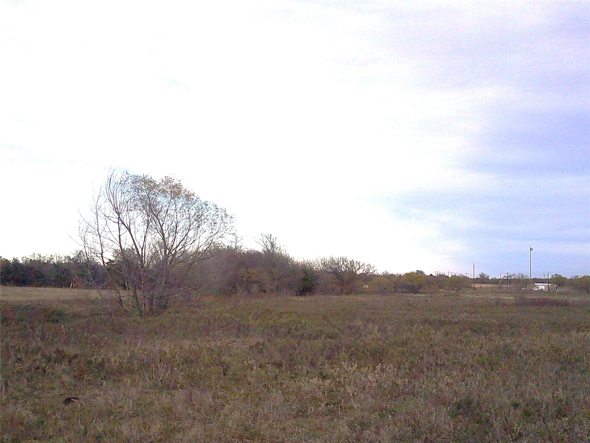63 Ac. Fm 2210 Bridgeport TX 76426