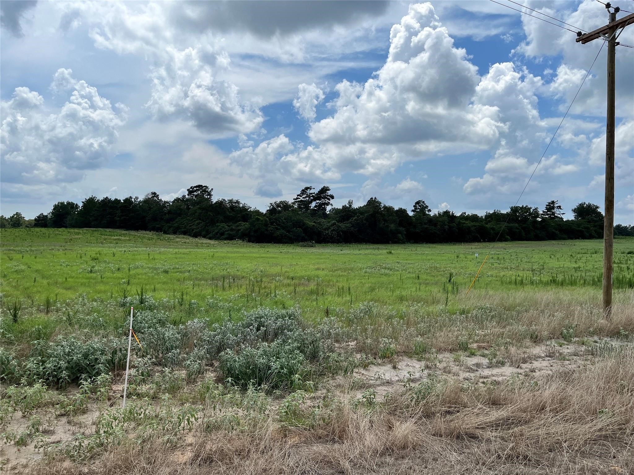 94 Pr 1315 10.01 Acre Trail 94 Centerville TX 75833