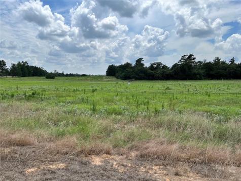 94 Pr 1315 10.01 Acre Trail 94 Centerville TX 75833