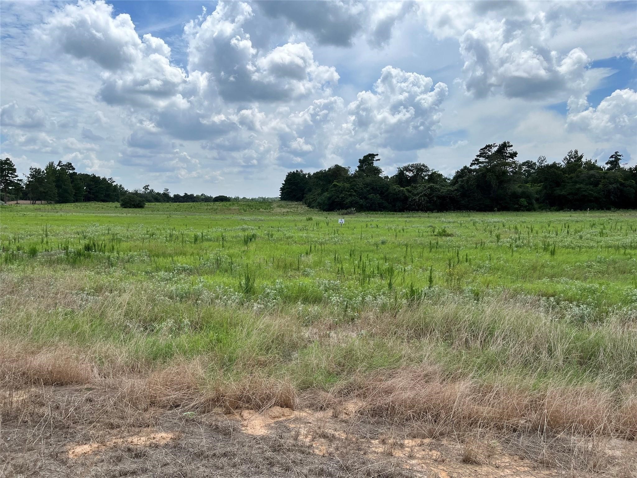 94 Pr 1315 10.01 Acre Trail 94 Centerville TX 75833