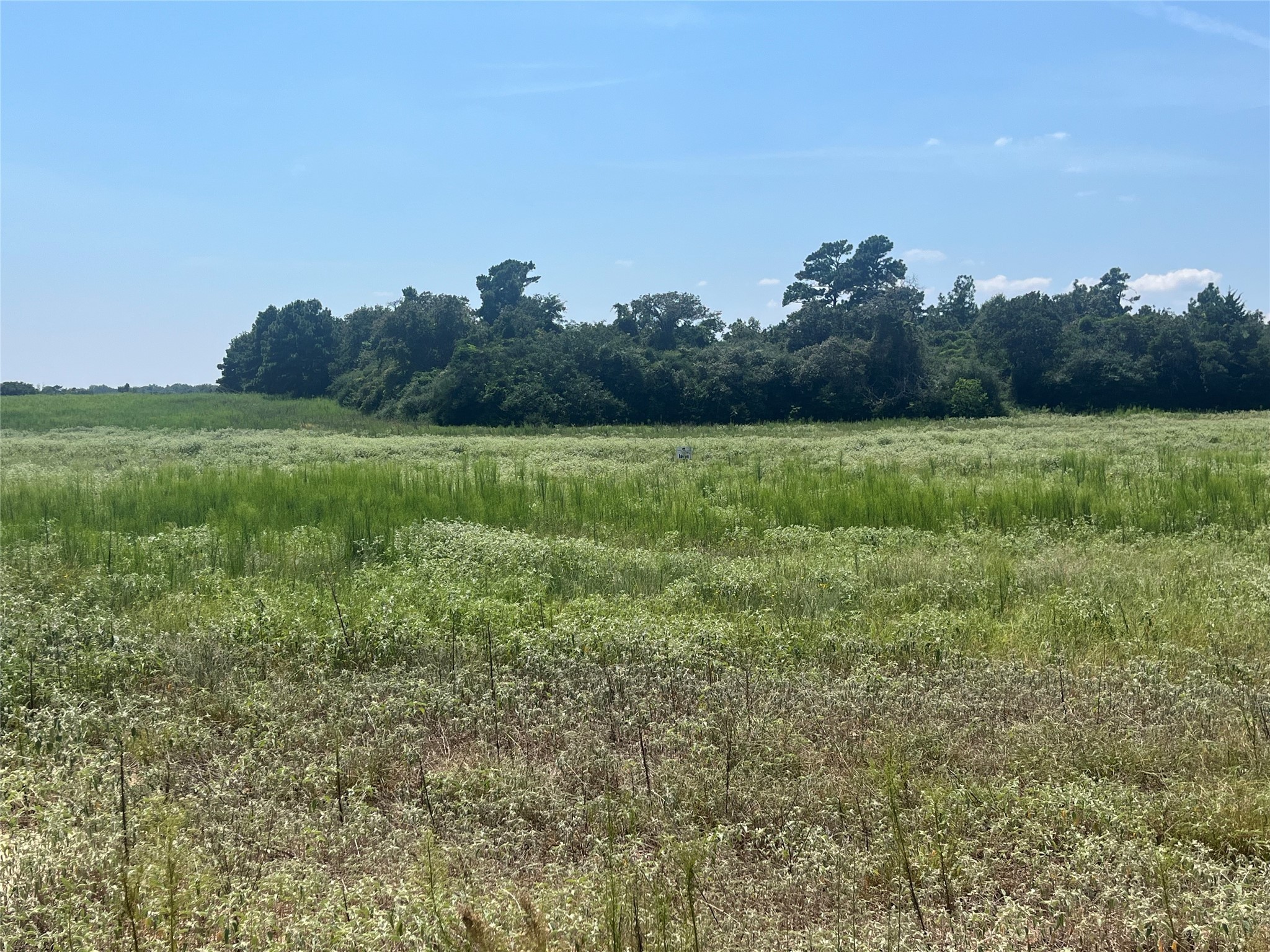 94 Pr 1315 10.01 Acre Trail 94 Centerville TX 75833