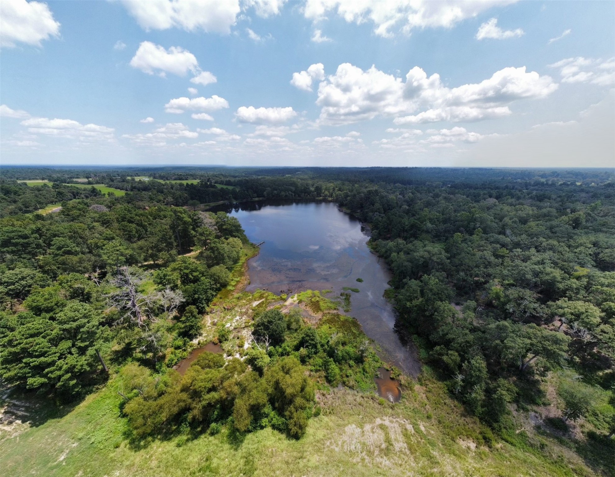 94 Pr 1315 10.01 Acre Trail 94 Centerville TX 75833