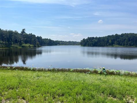 94 Pr 1315 10.01 Acre Trail 94 Centerville TX 75833