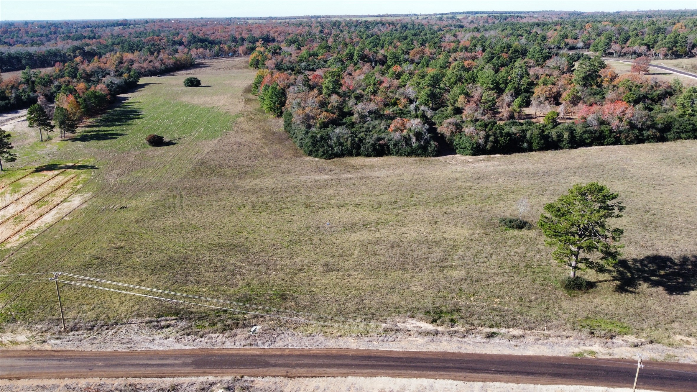 94 Pr 1315 10.01 Acre Trail 94 Centerville TX 75833