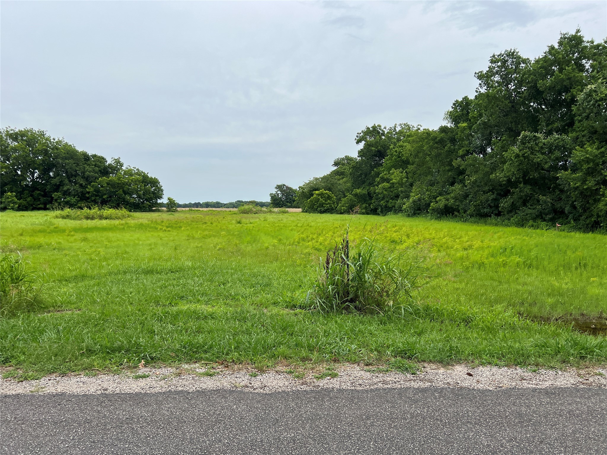 Plot 3 County Road 623 Farmersville TX 75442