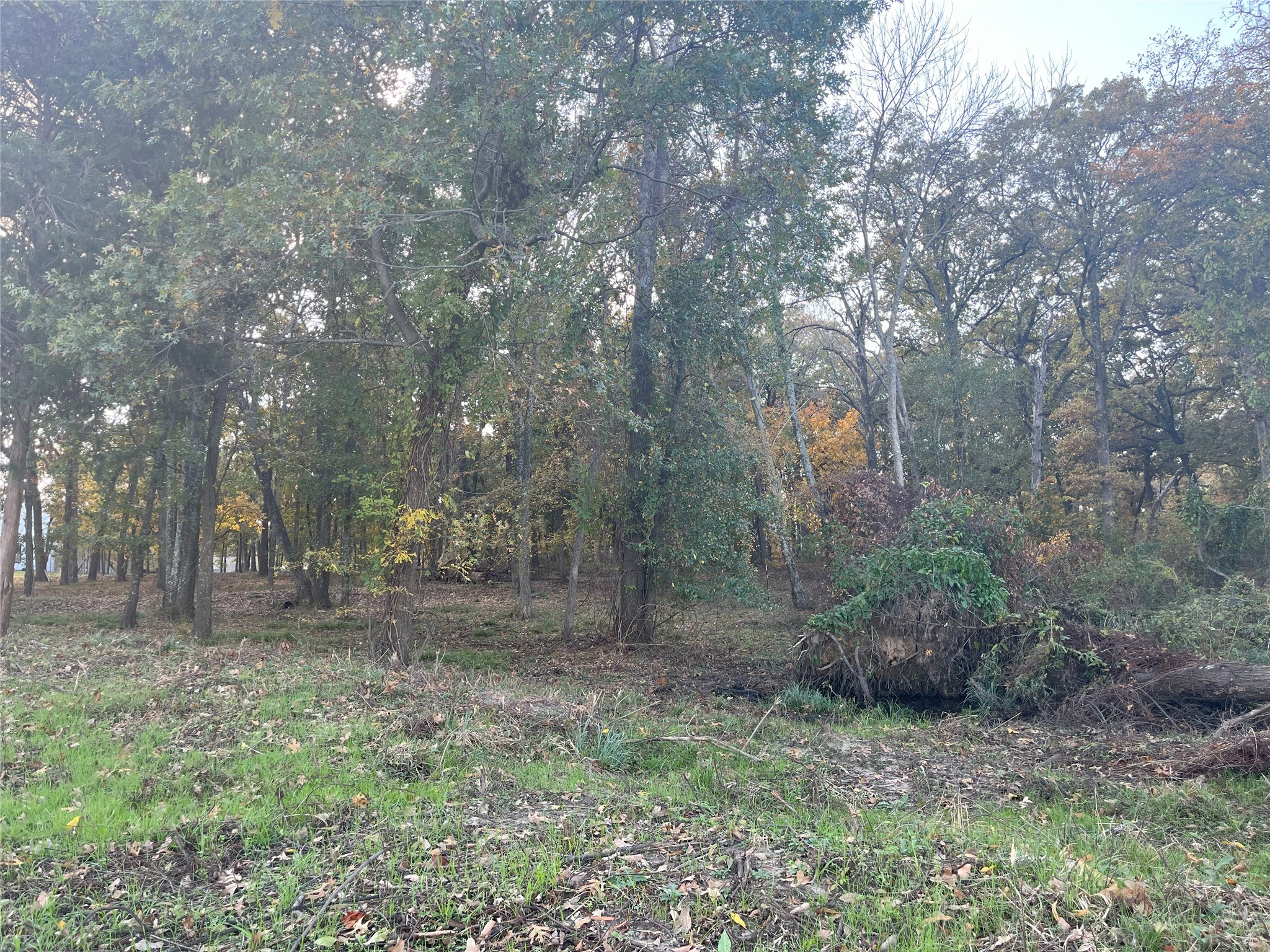 Lot 81 Open Water Point Quinlan TX 75474