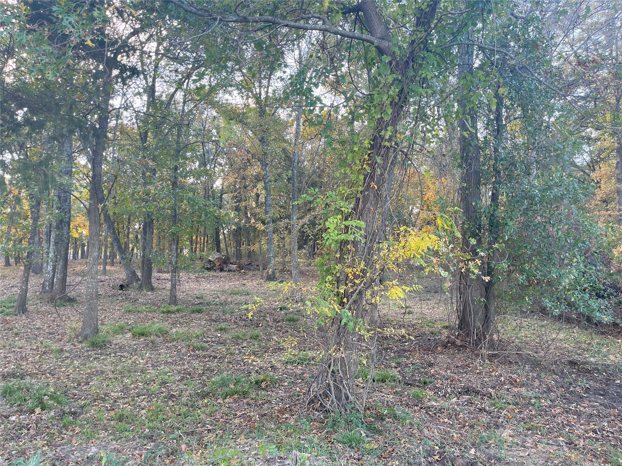 Lot 81 Open Water Point Quinlan TX 75474