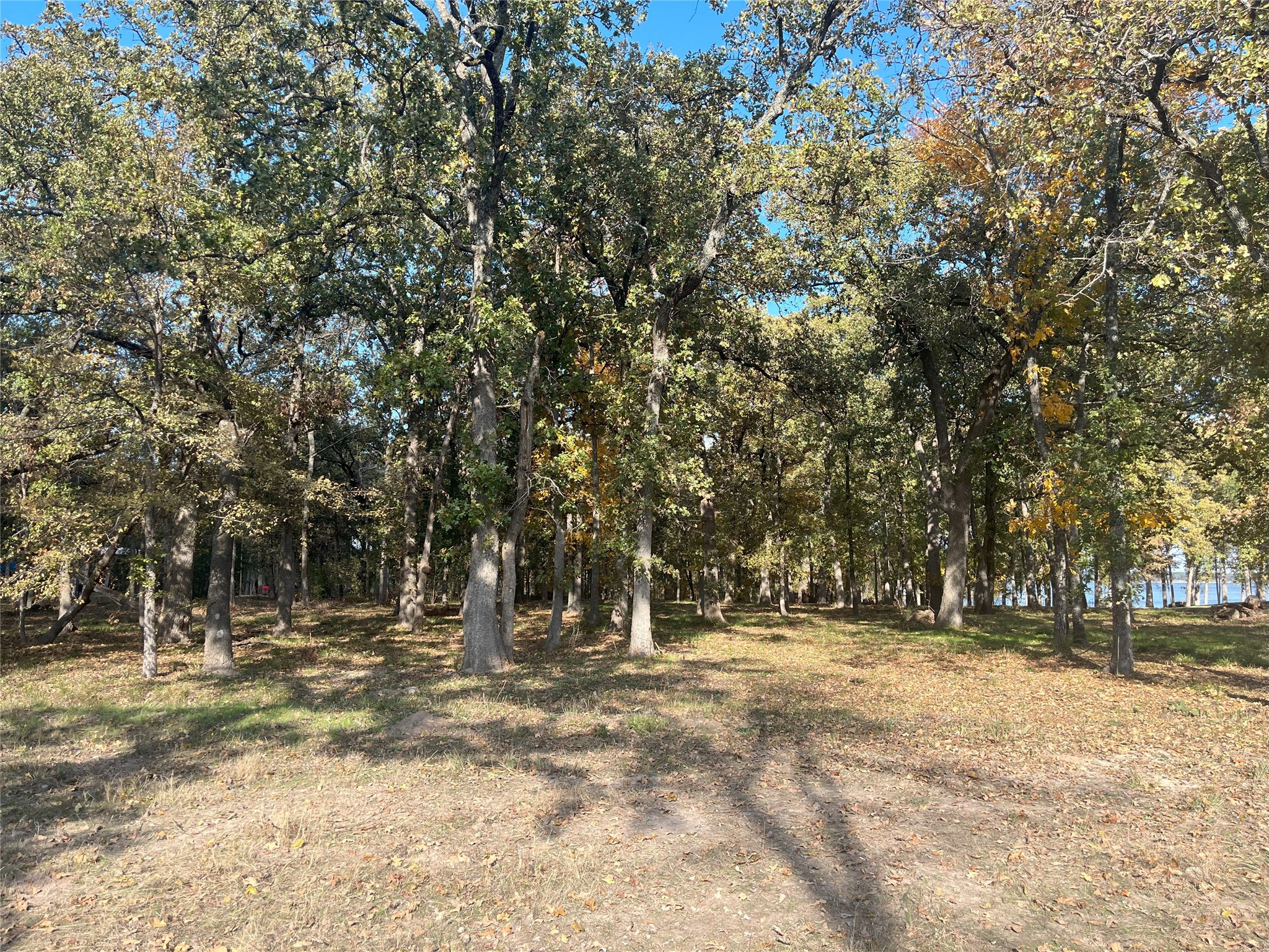 Lot 81 Open Water Point Quinlan TX 75474