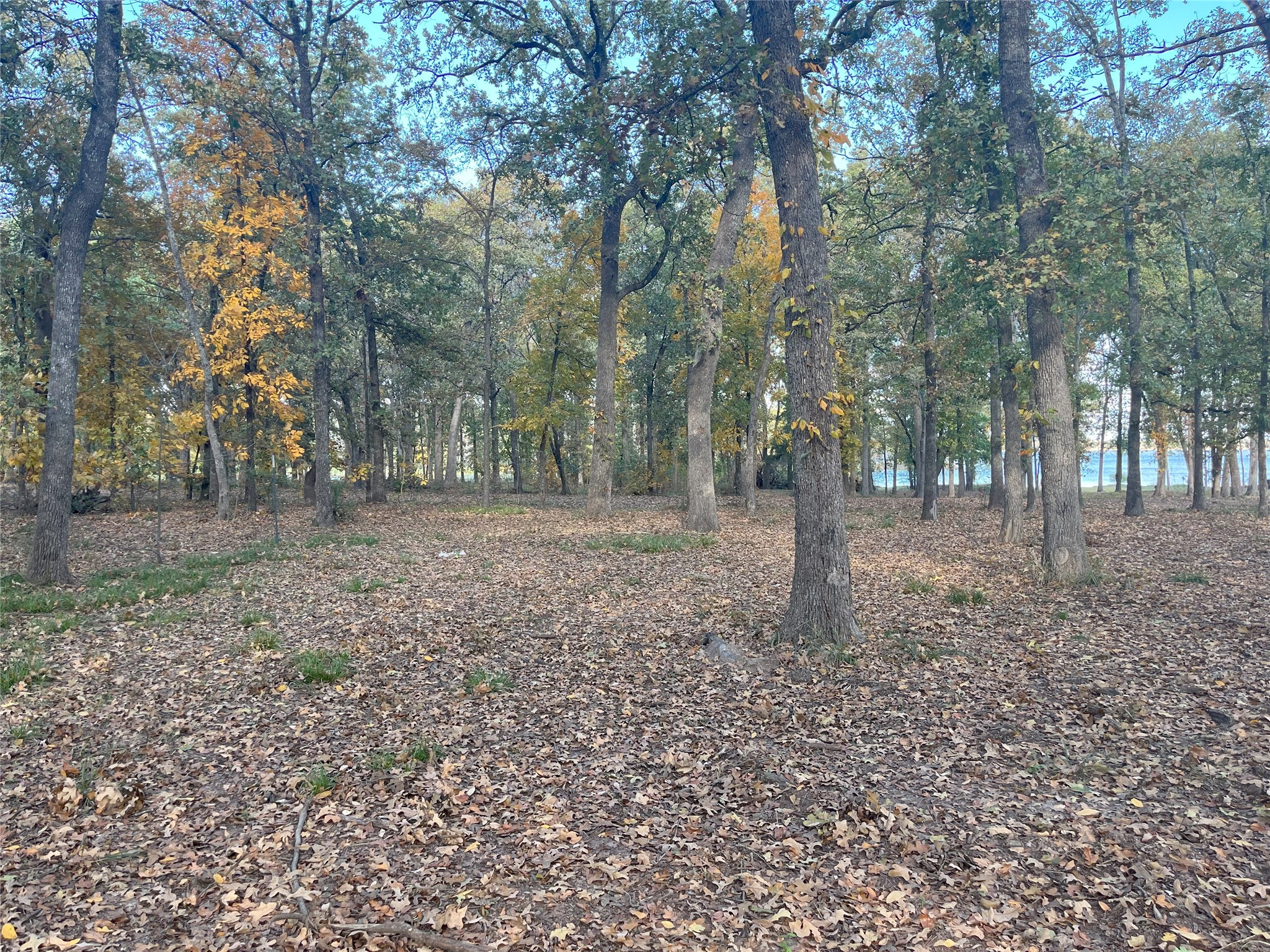 Lot 81 Open Water Point Quinlan TX 75474