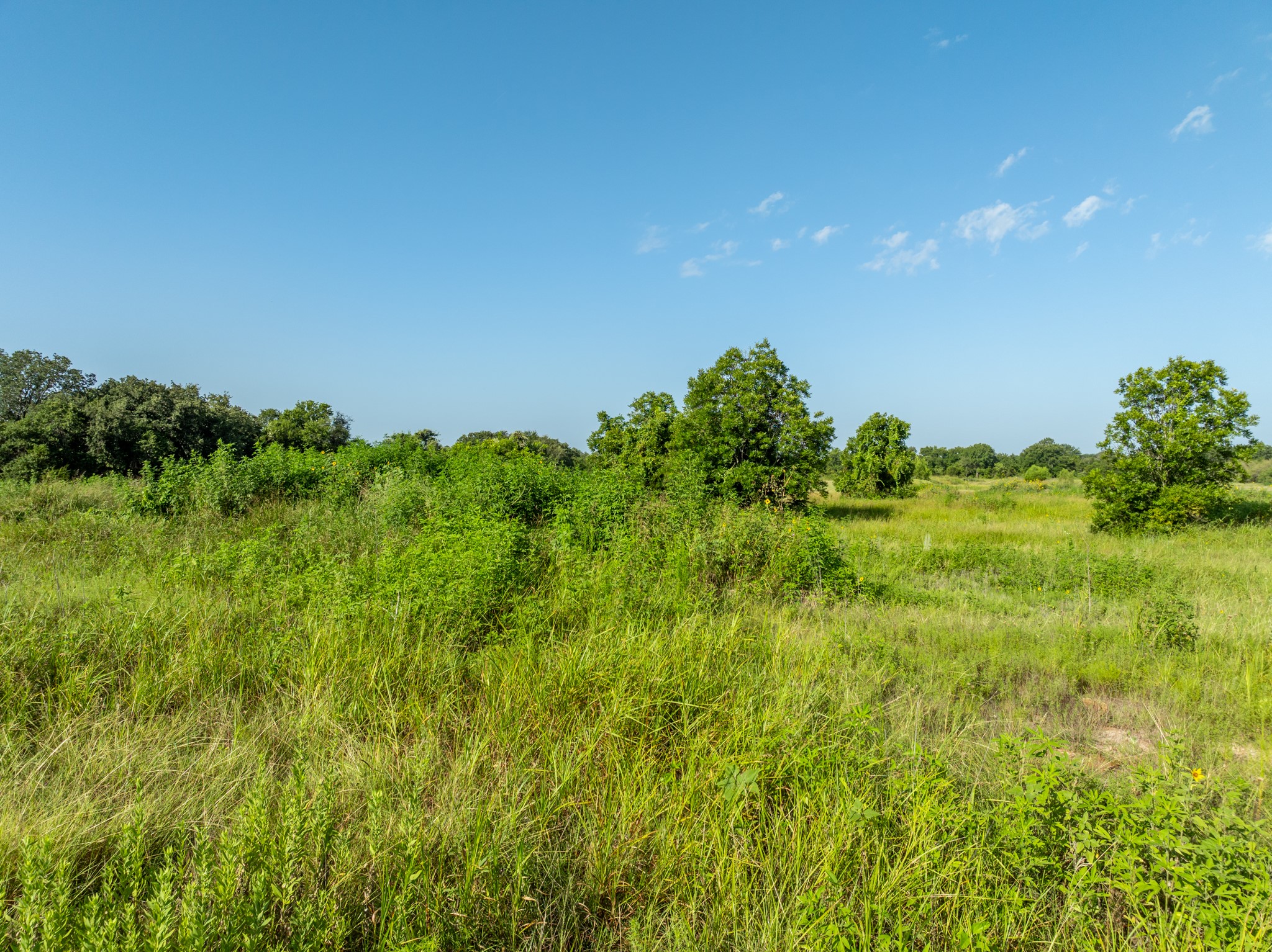 Tbd Highway 281 Hico TX 76457