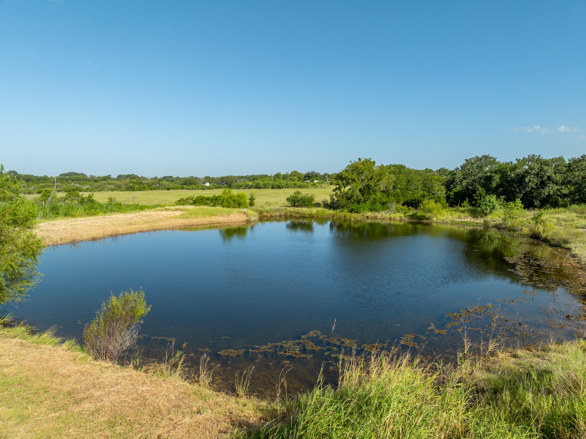 Tbd Highway 281 Hico TX 76457