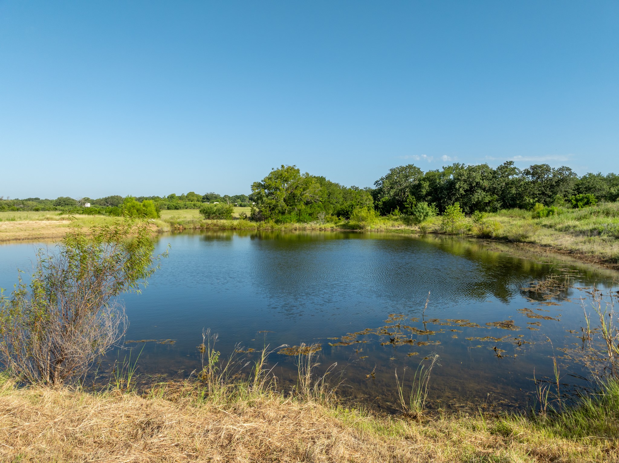 Tbd Highway 281 Hico TX 76457