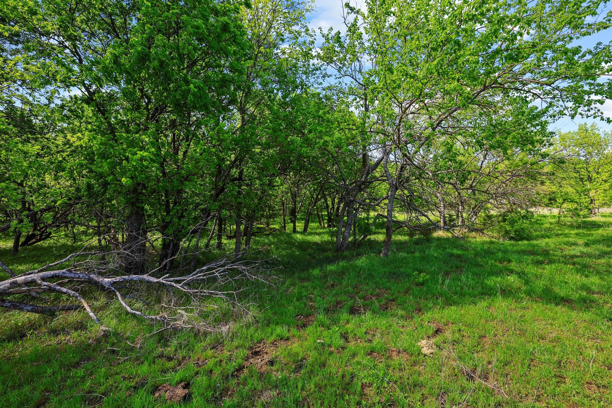 Tbd Airport Drive Denison TX 75020