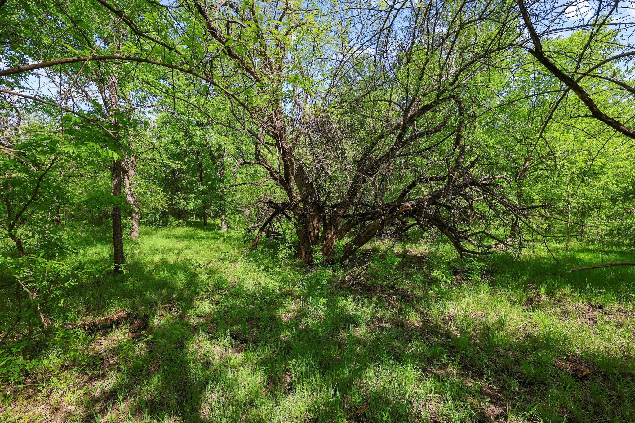 Tbd Airport Drive Denison TX 75020