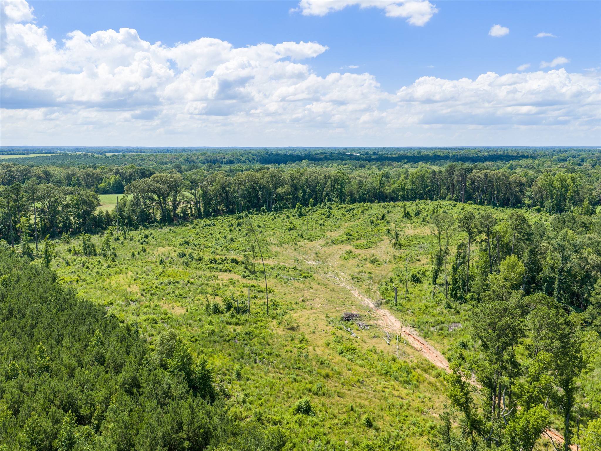 Tbd Mule Deer Rd Road Gilmer TX 75644