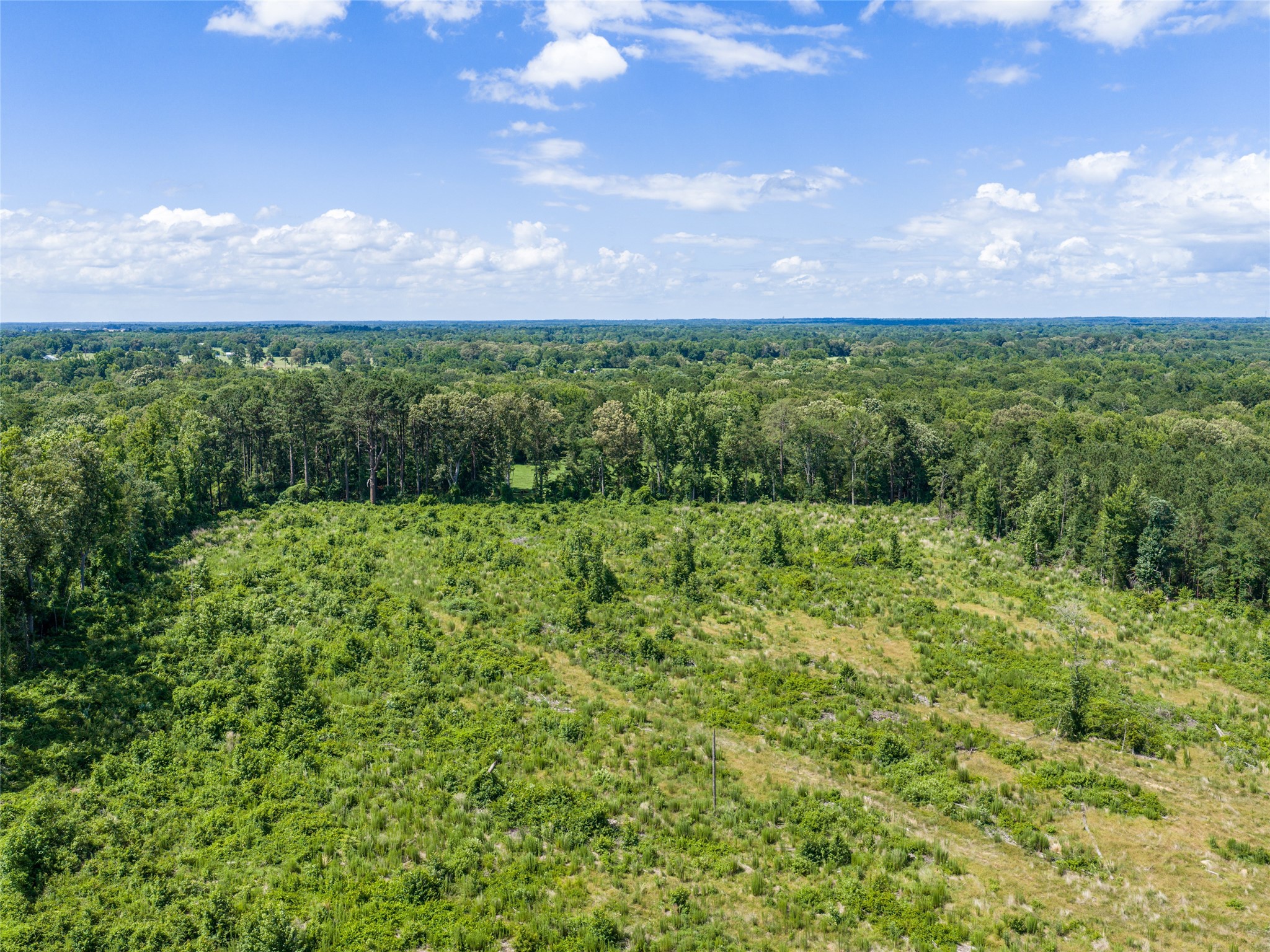 Tbd Mule Deer Rd Road Gilmer TX 75644
