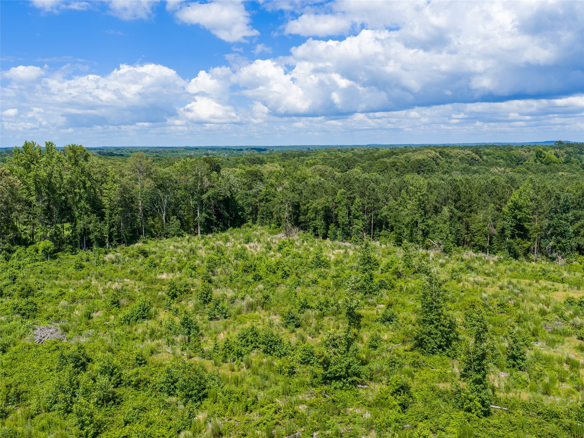 Tbd Mule Deer Rd Road Gilmer TX 75644