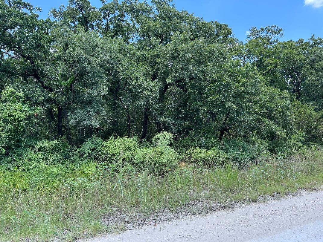 1044 Hcr 1212 Whitney TX 76692