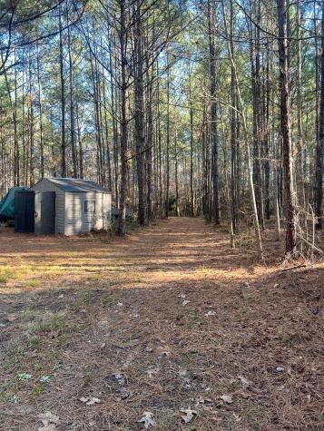 3320 Farm To Market 3065 Colmesneil TX 75938
