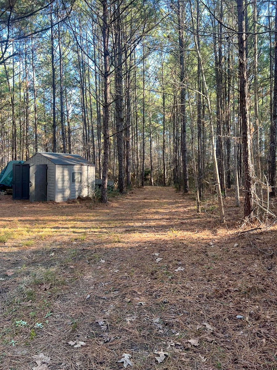 3320 Farm To Market 3065 Colmesneil TX 75938
