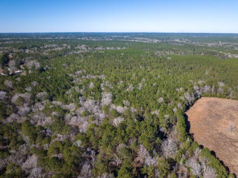 3320 Farm To Market 3065 Colmesneil TX 75938