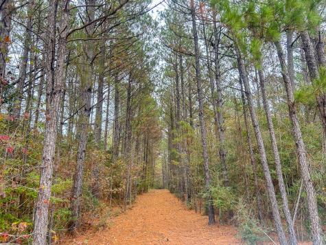 3320 Farm To Market 3065 Colmesneil TX 75938