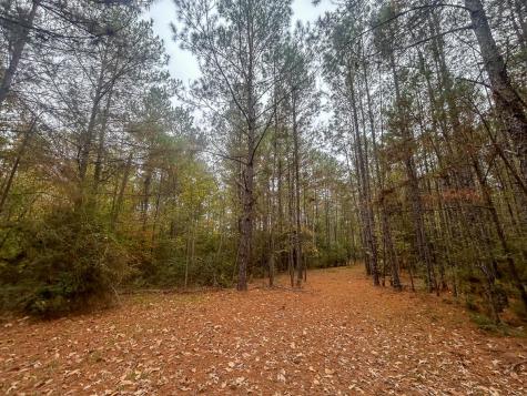 3320 Farm To Market 3065 Colmesneil TX 75938