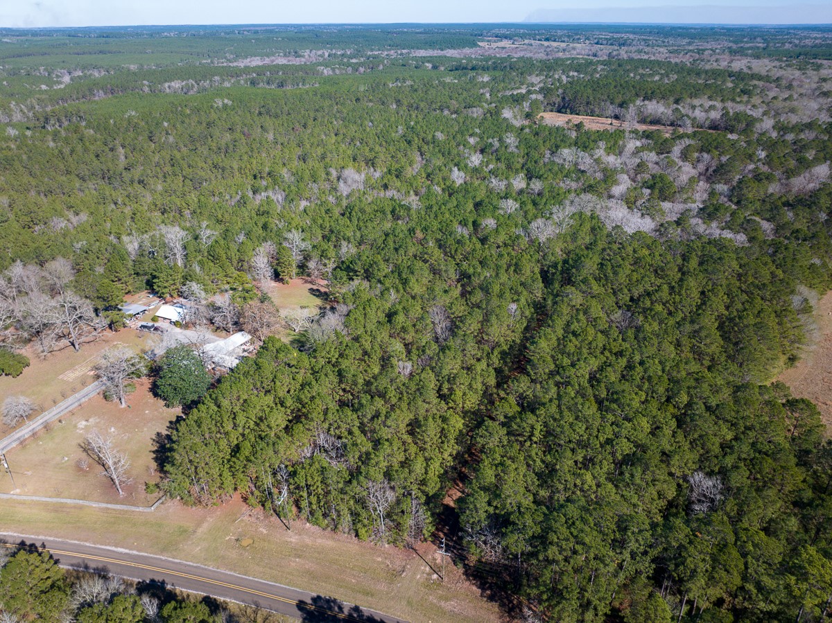 3320 Farm To Market 3065 Colmesneil TX 75938