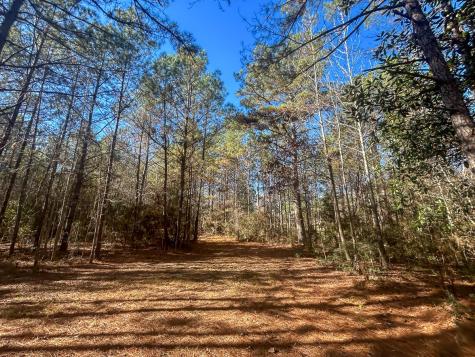 3320 Farm To Market 3065 Colmesneil TX 75938