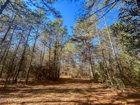 3320 Farm To Market 3065 Colmesneil TX 75938