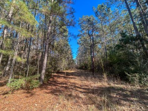 3320 Farm To Market 3065 Colmesneil TX 75938