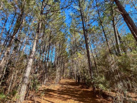 3320 Farm To Market 3065 Colmesneil TX 75938