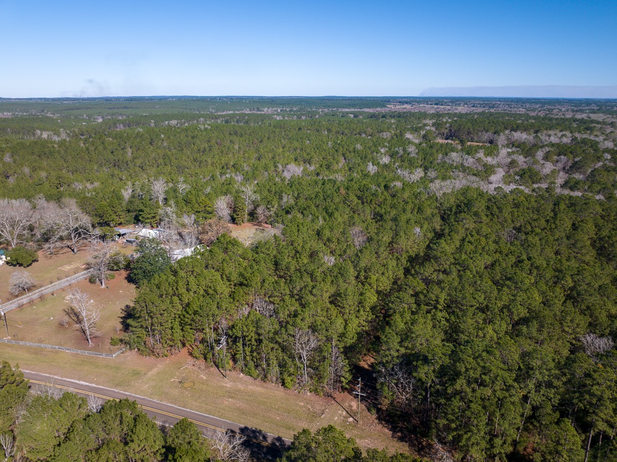 3320 Farm To Market 3065 Colmesneil TX 75938