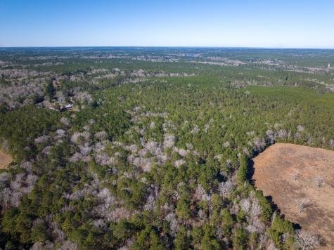 3320 Farm To Market 3065 Colmesneil TX 75938