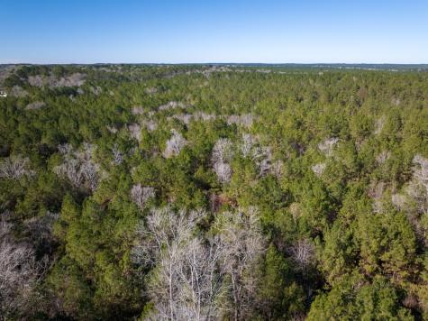 3320 Farm To Market 3065 Colmesneil TX 75938