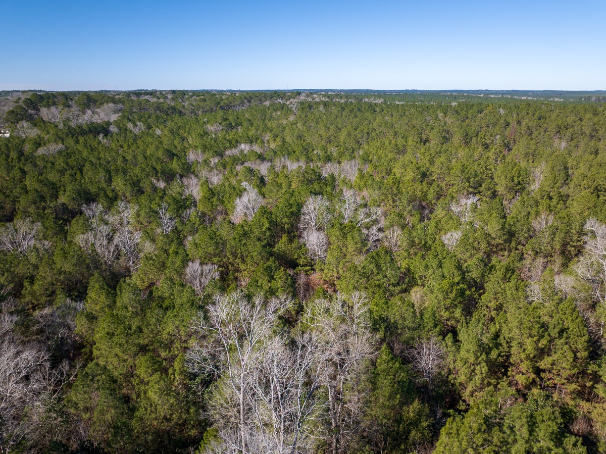 3320 Farm To Market 3065 Colmesneil TX 75938
