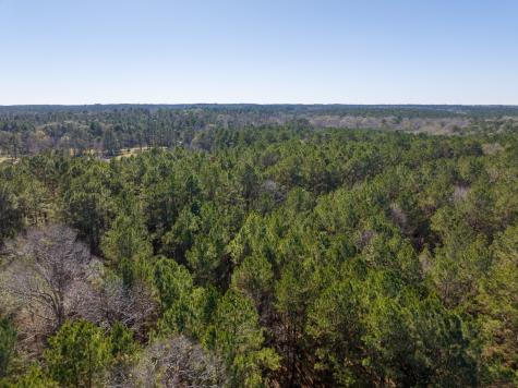 3320 Farm To Market 3065 Colmesneil TX 75938