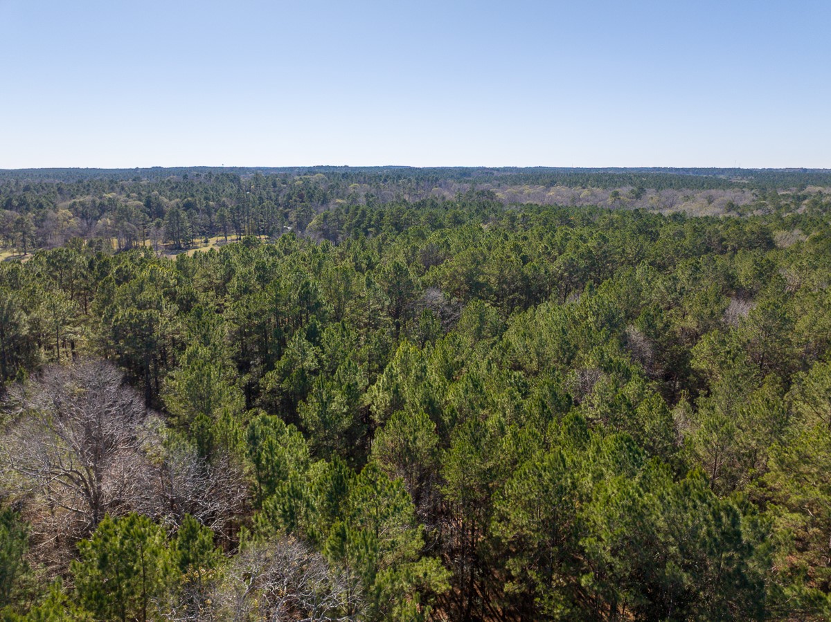 3320 Farm To Market 3065 Colmesneil TX 75938