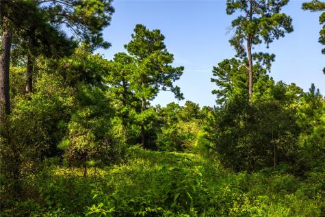 Tract 11 County Road 4222 Frankston TX 75763