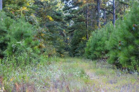 Tract 11 County Road 4222 Frankston TX 75763
