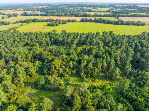 Tract 11 County Road 4222 Frankston TX 75763