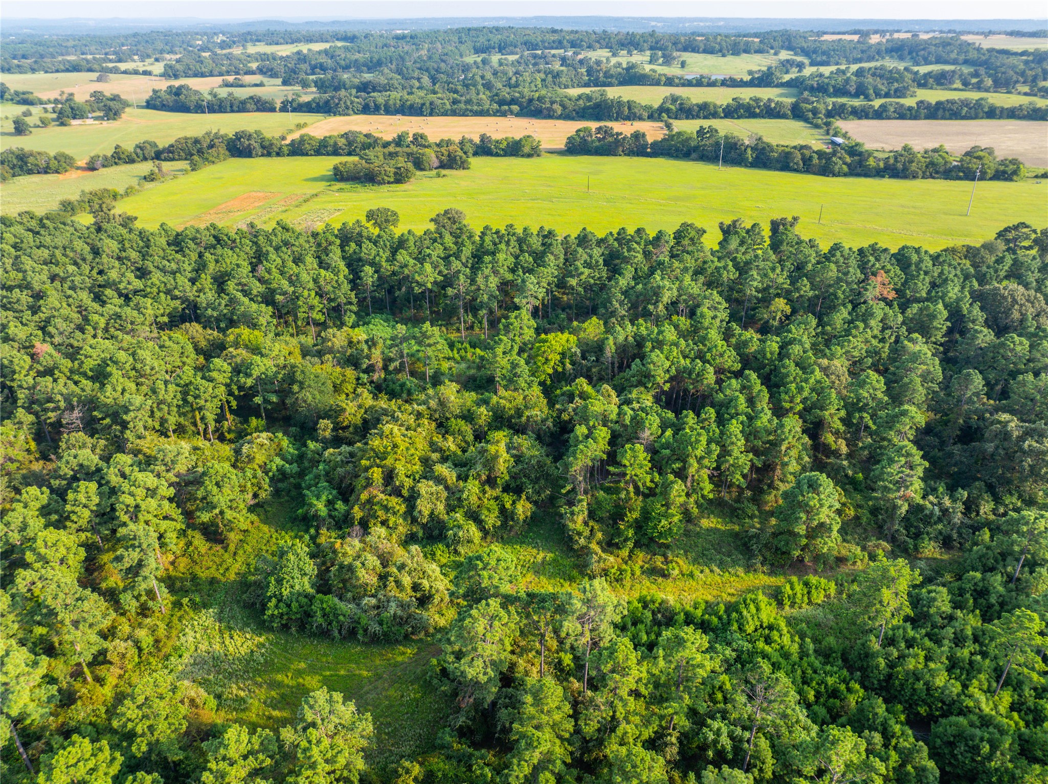 Tract 11 County Road 4222 Frankston TX 75763