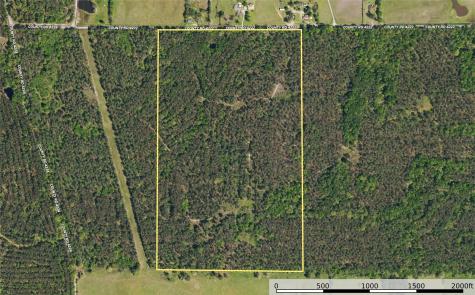 Tract 11 County Road 4222 Frankston TX 75763