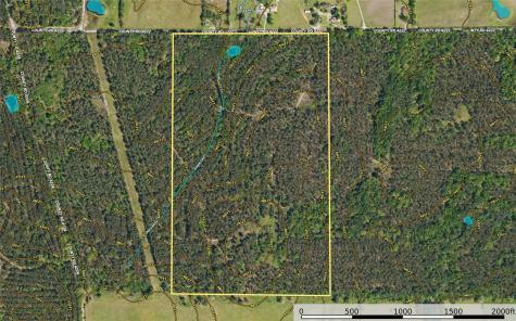 Tract 11 County Road 4222 Frankston TX 75763