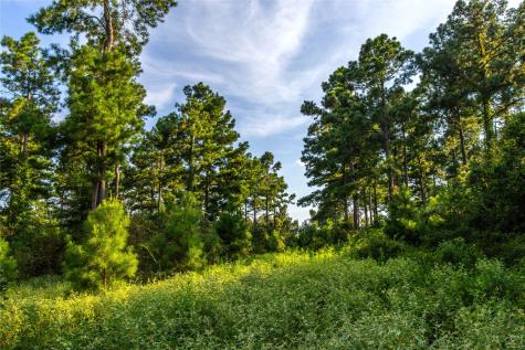 Tract 11 County Road 4222 Frankston TX 75763