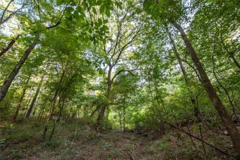 Tract 11 County Road 4222 Frankston TX 75763
