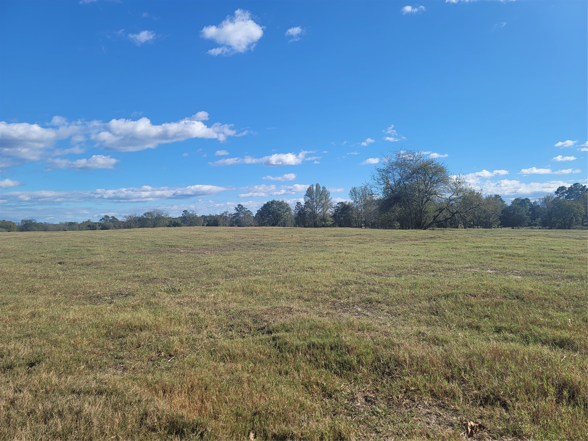 12403 Fm 1975 Gilmer TX 75644