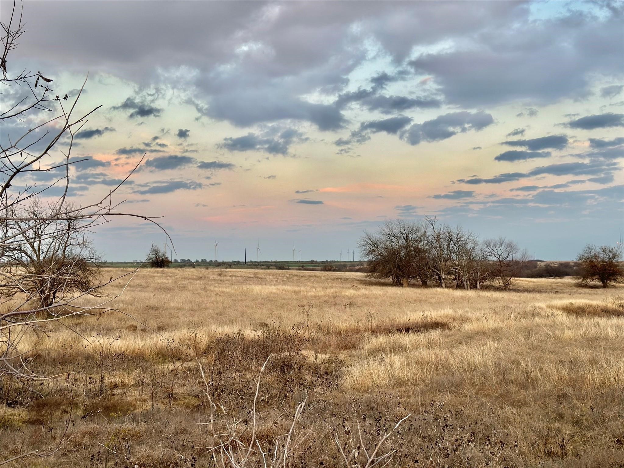 58.12 Acres County Road 353 Gainesville TX 76240