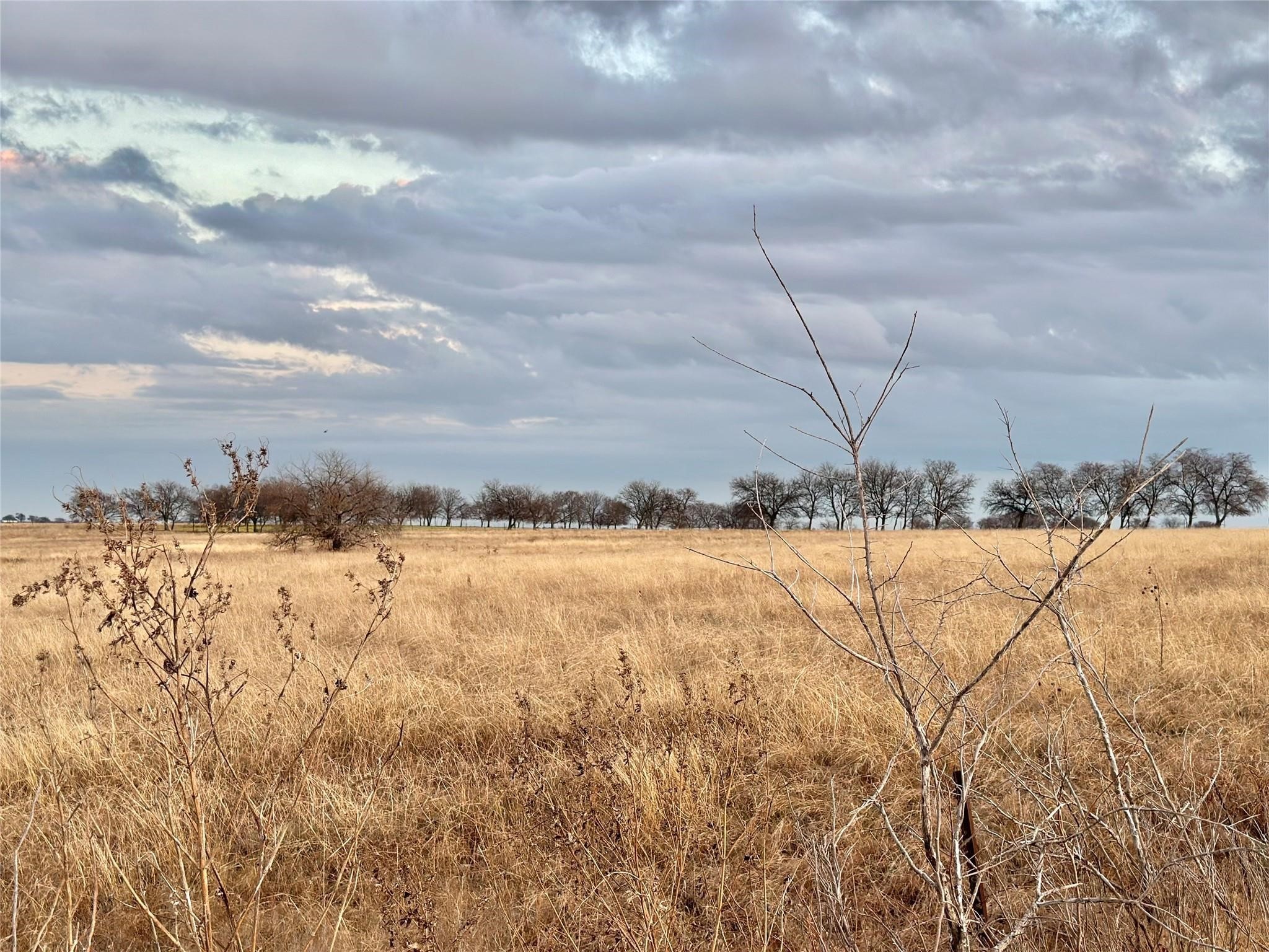 58.12 Acres County Road 353 Gainesville TX 76240