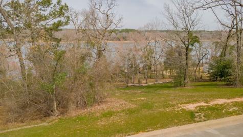 4463 Cascades Shoreline Drive Tyler TX 75709